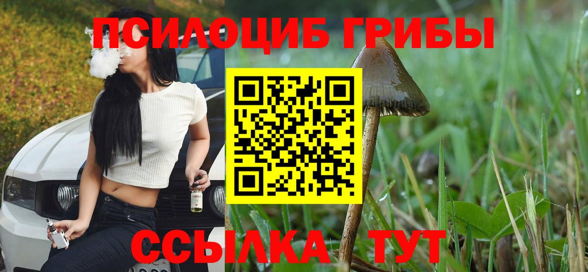 Псилоцибиновые грибы мухоморы Абинск