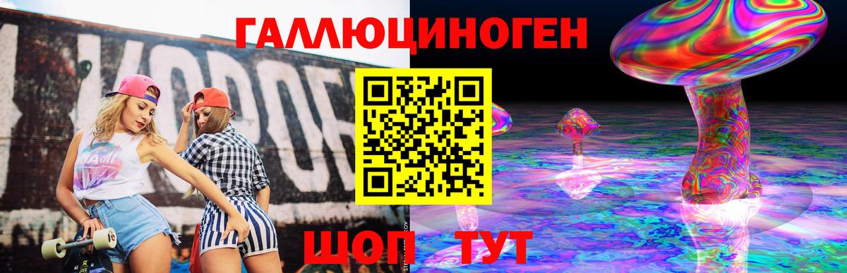 Псилоцибиновые грибы Cubensis  Вход с VPN  Абинск 